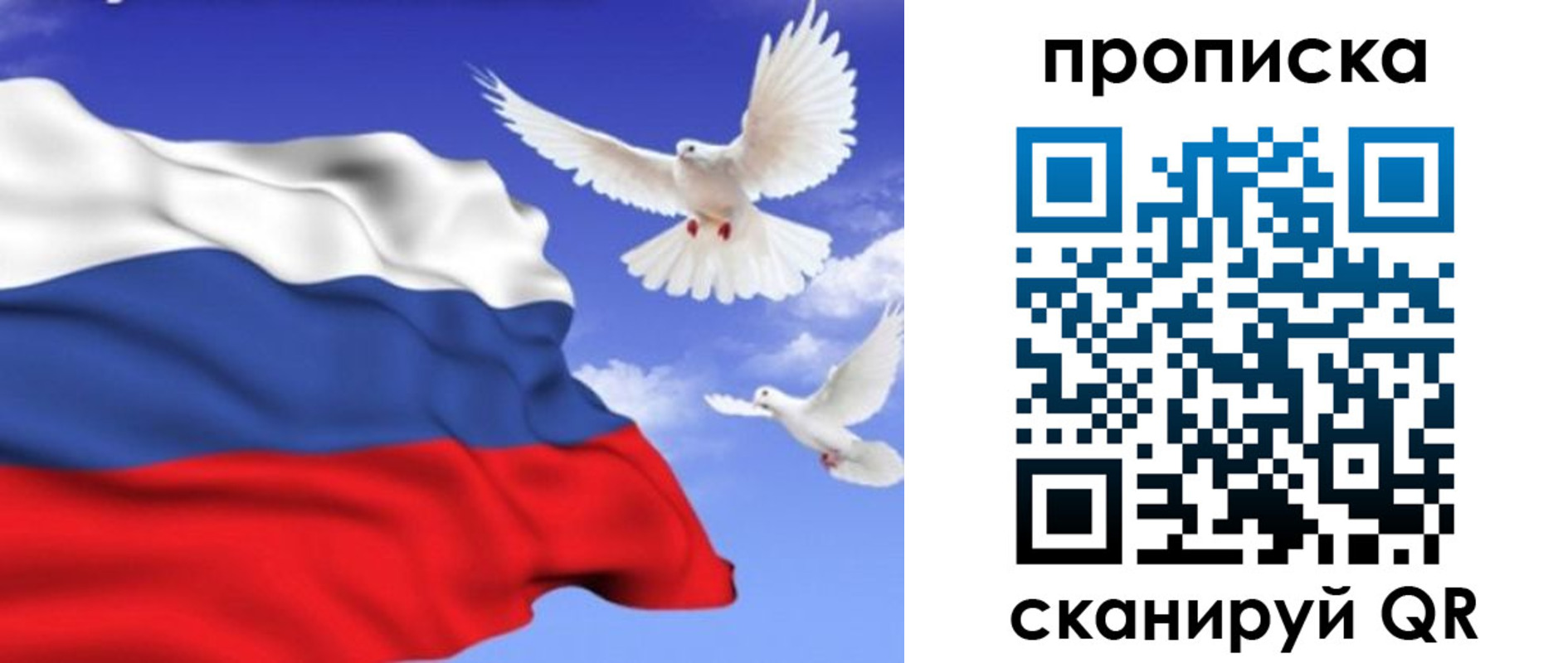 временная регистрация гарантия в Куртамыше